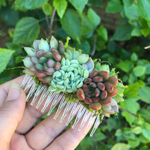 Load image into Gallery viewer, Succulent Hair Comb