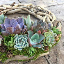 Load image into Gallery viewer, Driftwood Succulent Wreath