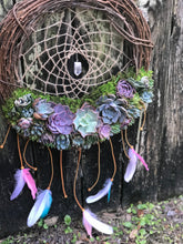 Load image into Gallery viewer, 18" Succulent Dreamcatcher