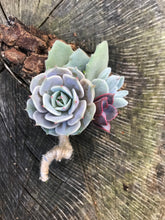 Load image into Gallery viewer, Succulent Boutonnières