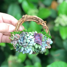 Load image into Gallery viewer, 3" Succulent Wreath Ornament