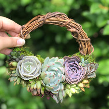 Load image into Gallery viewer, 8" Succulent Wreath