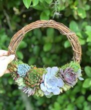 Load image into Gallery viewer, 10" Succulent Wreath