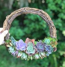 Load image into Gallery viewer, 10" Succulent Wreath