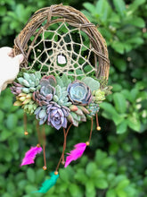 Load image into Gallery viewer, 10" Succulent Dreamcatcher
