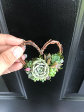 Load image into Gallery viewer, 2.5" Succulent Heart Ornament