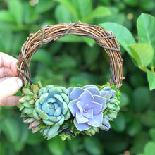 Load image into Gallery viewer, 6" Succulent Wreath