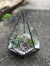Load image into Gallery viewer, DIY Succulent Terrarium Kit 6.25" x 8.75" (BLACK)