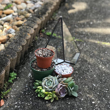 Load image into Gallery viewer, DIY Succulent Terrarium Kit 6.25" x 8.75" (BLACK)