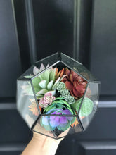 Load image into Gallery viewer, DIY FAUX Succulent Terrarium Kit 7"x6" (BLACK)