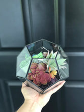 Load image into Gallery viewer, DIY FAUX Succulent Terrarium Kit 7"x6" (BLACK)