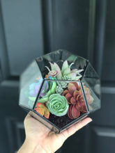 Load image into Gallery viewer, DIY FAUX Succulent Terrarium Kit 7"x6" (BLACK)
