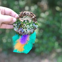 Load image into Gallery viewer, 3" Succulent Dreamcatcher Ornament