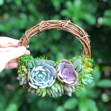 Load image into Gallery viewer, 6" Succulent Wreath