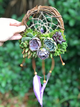 Load image into Gallery viewer, 6" Succulent Dreamcatcher