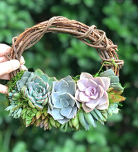 Load image into Gallery viewer, 8" Succulent Wreath