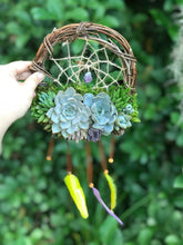 Load image into Gallery viewer, 8" Succulent Dreamcatcher