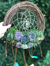 Load image into Gallery viewer, 12" Succulent Dreamcatcher