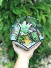 Load image into Gallery viewer, DIY FAUX Succulent Terrarium Kit 7"x6" (BLACK)