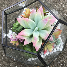 Load image into Gallery viewer, DIY FAUX Succulent Terrarium Kit 7"x6" (BLACK)