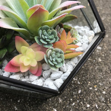 Load image into Gallery viewer, DIY FAUX Succulent Terrarium Kit 7"x6" (BLACK)