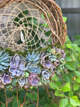 Load image into Gallery viewer, 18" Succulent Dreamcatcher