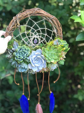 Load image into Gallery viewer, 10" Succulent Dreamcatcher