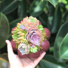 Load image into Gallery viewer, 6" Purple Succulent Pumpkin