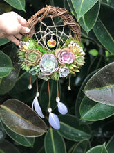 Load image into Gallery viewer, 8" Succulent Dreamcatcher