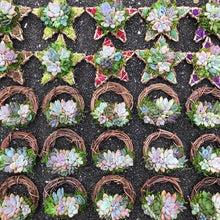 Load image into Gallery viewer, 3" Succulent Wreath Ornament
