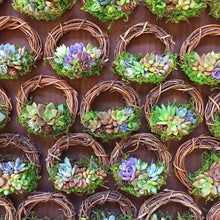 Load image into Gallery viewer, 3" Succulent Wreath Ornament