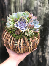 Load image into Gallery viewer, 8" Rattan Succulent Pumpkin (Lights up!)