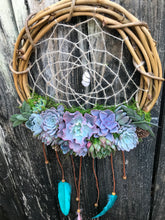 Load image into Gallery viewer, 12" Succulent Dreamcatcher