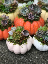 Load image into Gallery viewer, 4.5" Light Pink Pumpkin