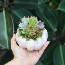 Load image into Gallery viewer, 4.5" Light Pink Pumpkin