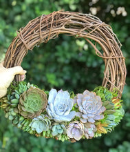 Load image into Gallery viewer, 14" Succulent Wreath
