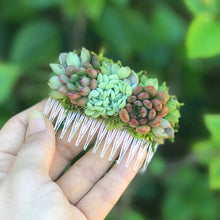 Load image into Gallery viewer, Succulent Hair Comb