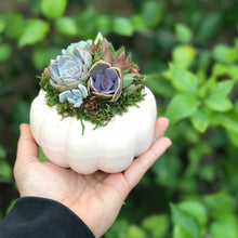 Load image into Gallery viewer, 4.5" Light Pink Pumpkin