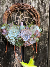 Load image into Gallery viewer, 8" Succulent Dreamcatcher