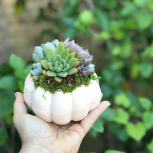 Load image into Gallery viewer, 4.5" Light Pink Pumpkin