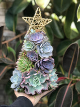 Load image into Gallery viewer, 13" Aurora Succulent Tree (Succulent Christmas Tree)