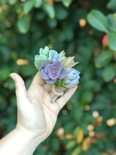 Load image into Gallery viewer, Succulent Boutonnières