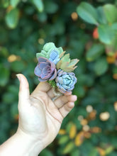 Load image into Gallery viewer, Succulent Boutonnières