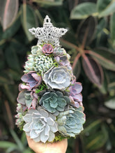 Load image into Gallery viewer, 13" Aurora Succulent Tree (Succulent Christmas Tree)