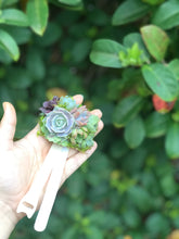 Load image into Gallery viewer, Succulent Wrist Corsage
