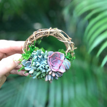 Load image into Gallery viewer, 3" Succulent Wreath Ornament