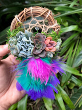 Load image into Gallery viewer, 3" Succulent Dreamcatcher Ornament