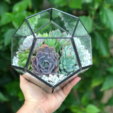 Load image into Gallery viewer, DIY Succulent Terrarium Kit 7"x6" (BLACK)