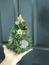 Load image into Gallery viewer, 9" Mini Alpine Succulent Tree