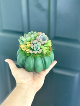 Load image into Gallery viewer, 4.5" Green Succulent Pumpkin